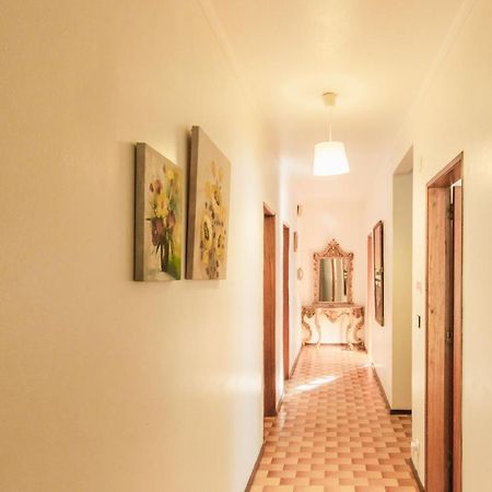 Beach Avenue Apartment Ferrel  Eksteriør bilde